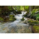 The Healing Waters
