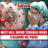 West Nile, Nuovo Terribile Virus: È Allarme Nel Paese!