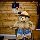 Smokey Bear History