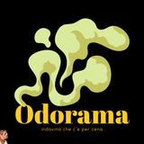 La Portinaia - ODORAMA | Odori strani in condominio? Ecco cosa fare...