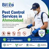 Pest Control Services for Homes and Commercial Properties
