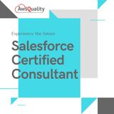 Salesforce Certified Consultant
