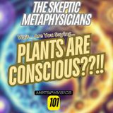 Can Plants Read Your Mind? What Is Plant Consciousness | Metaphysical Moment