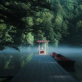 Sacred Grove - 10 Hours Sleep Sound