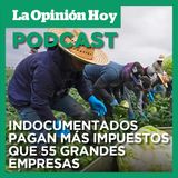 Indocumentados pagan más impuestos que 55 grandes empresas, revela nuevo reporte.
