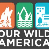 Sierra Club OUR WILD AMERICA Campaign