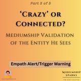 ‘Crazy’ or Spiritually Connected? - A Medium Talks With a Man Diagnosed With Schizophrenia (Part 3)