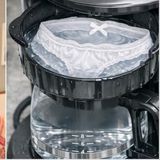 Panties In A Hotel Coffeemaker, A Drunk Pediatric Dentist, and A Romp With Roadkill