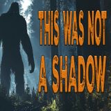 This Was NOT a Shadow - BIGFOOT