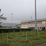 Arzignano “più verde”, 220 piante messe a dimora. Anche come omaggio ai nuovi nati
