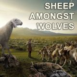 Sheep Amongst Wolves