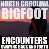ANOTHER BIGFOOT ENCOUNTER FROM NORTH CAROLINA | HOLLY SAID THE CREATURE WAS SWAYING BACK AND FORTH!