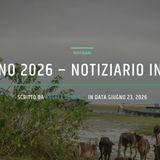 23 giugno 2026 - Notiziario in genere