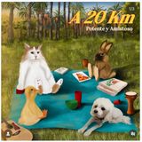 A 20 KM