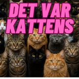 Kattens frekvens - hvorfor kattens spinden beroliger dit nervesystem: Interview med lyddame Rix Bronx