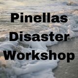 Pinellas Disaster Mitigation Workshop - Smita Ambadi