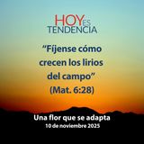 Una flor que se adapta ~ Devocional de Jóvenes ~ 10 de noviembre 2025