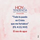 El oso de agua ~ Devocional de Jóvenes ~ 26 de junio 2025
