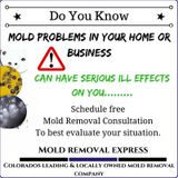 Mold removal is not a do it yourself job | Mold Removal Express