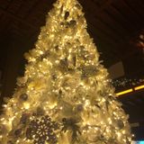 Christmas Trees, Lavender Products, Deer and Banking