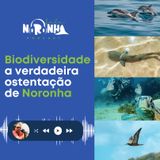 #Ep45 Biodiversidade: a verdadeira ostentação de Fernando de Noronha