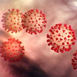 Understanding the Coronavirus (COVID-19)