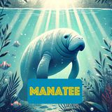 Manatees Serene Gentle Giants of the Coastal Waters