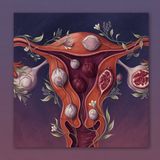 Navigate Fibroids: Decision Matrix: Imaging to Myomectomy vs UAE Hysterectomy Fertility
