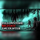 Bigfoot Stalked Our Yellowstone Cabin… Until It Reached the Door