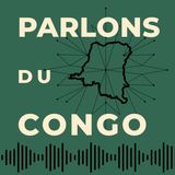 1 - Comment Tout a Commencé: Le Basculement