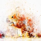Die Eichhörnchenfamilie | Herbstgeschichten