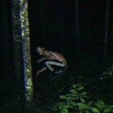 Skinwalker Reddit Stories
