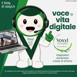 Voce e vita digitale