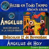 Reza el ángelus del día de hoy Miércoles 12 de Noviembre 2025.