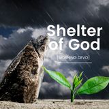 Shelter of God [Morning Devo]