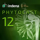 Phytocast 12: A look into the future