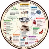 EP-312☕ CAFFEINE INSIDE YOUR  FULL BODY EFFECT — THE COMPLETE JOURNEY ক্যাফেইন শরীরে ঢোকার পর কী ঘটে? — সম্পূর্ণ যাত্রা|   wellness podcast