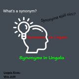 Lesson 13 - Synonyms & some vocabularies in Lingala