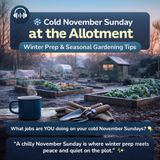 🎧 ❄️ Cold November Sunday at the Allotment: Winter Prep and Seasonal Gardening Tips