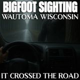 Wisconsin Man Sees Bigfoot Cross the Highway  “It Glided Like a Ghost” | Wautoma Wisconsin Highway C