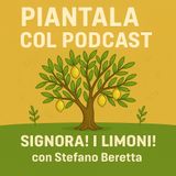 EP5 - SIGNORA ! I LIMONI ! CON STEFANO BERETTA