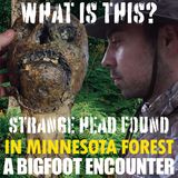 A BIGFOOT ENCOUNTER FROM MINNESOTA | A STRANGE HEAD FOUND IN THE FOREST (WHAT IS IT?)