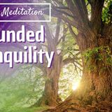 Grounding Meditation to Connect with Nature_s Wisdom _ Mindful Movement