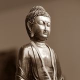 Gianluca Gotto: «L'obiettivo del buddismo è eliminare sentimenti negativi»