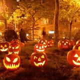 Halloween Season Kickoff: Spooky Questions w/ Kat!