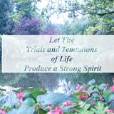 Let The Trial and Temtations of Life Produce a Strong Spirit
