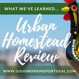 For the gardeners & growers: Urban Homestead Review 2022 - What works, what doesn't?