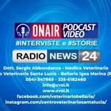 Intervista a Radio News24 sulla Chirurgia Veterinaria