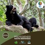 NUESTRO OXÍGENO Protegiendo nuestra biodiversidad