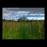Clockwise at the Bog.